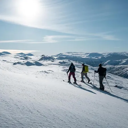 Harahorn Fjellgard Hotell