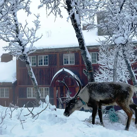 Harahorn Fjellgard * Grøndalen